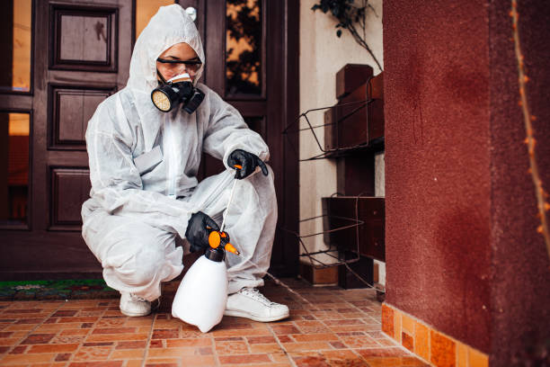 Attic and Crawl Space Rodent Treatment in Arden-Arcade